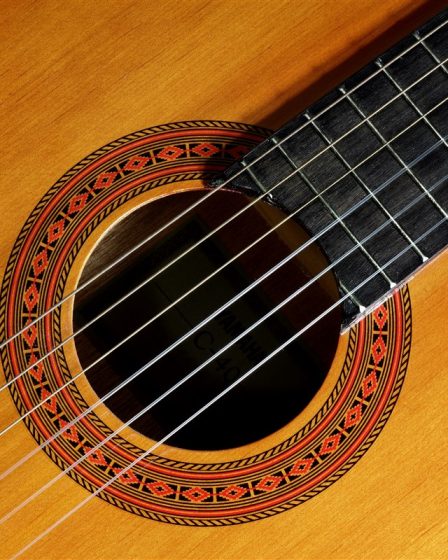 généalogie de la guitare