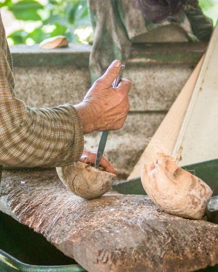 ouvrir une noix de coco