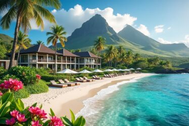 découvrez notre guide des meilleurs hôtels à la réunion pour un séjour inoubliable. trouvez où loger selon vos envies et profitez pleinement de votre voyage sur cette île paradisiaque.