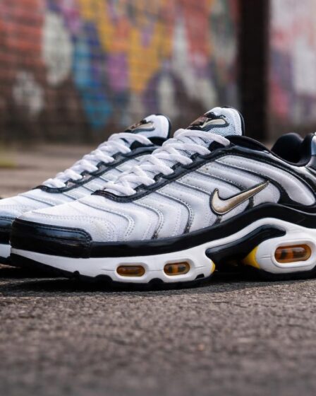 découvrez pourquoi les baskets nike tn sont un incontournable du streetwear, alliant style iconique et confort optimal pour un look urbain réussi.