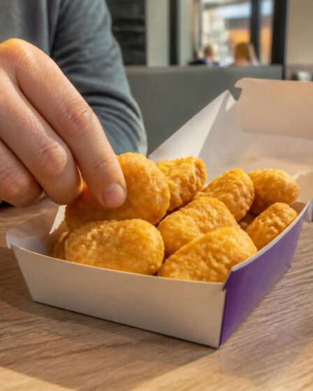 découvrez le prix d'une boîte de 20 nuggets chez mcdo et son impact sur la culture food française. un incontournable pour les fans de fast-food et de gastronomie populaire.